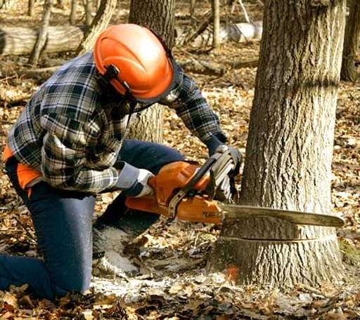 Tree Removal in Dugspur, VA